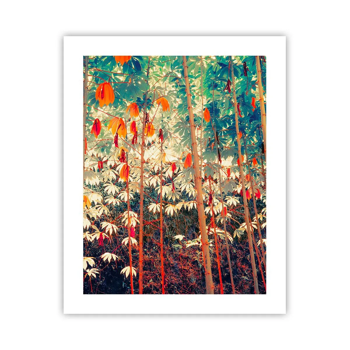 Poster - Het geheime leven van de bladeren - 40x50 cm