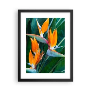 Poster in een zwarte lijst - Is het een bloem of is het een vogel? - 30x40 cm