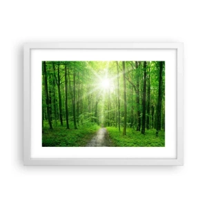 Poster in een witte lijst - De groene kathedraal - 40x30 cm