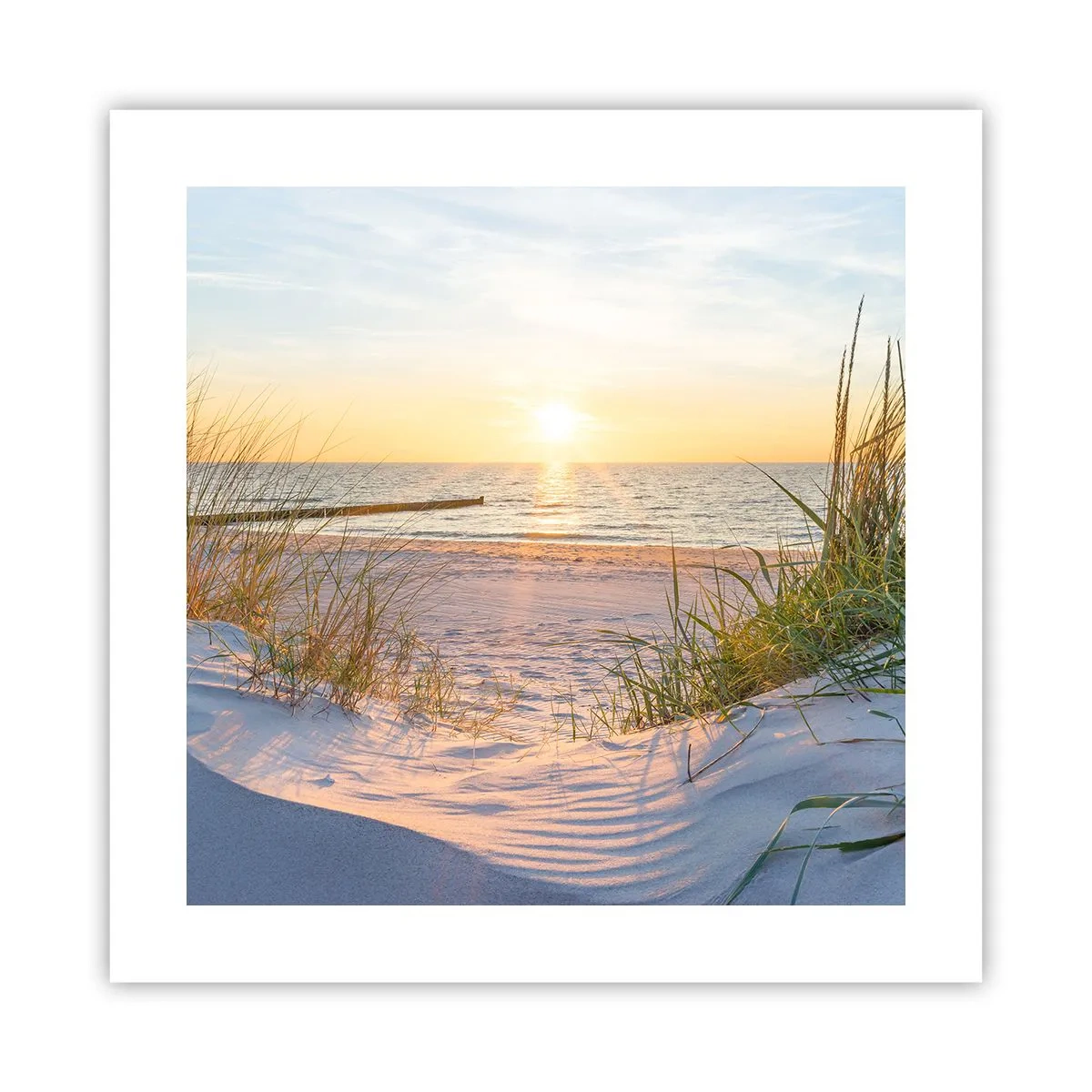 Poster - Het geluid van de zee, het zingen van vogels, een wild strand tussen het gras... - 40x40 cm