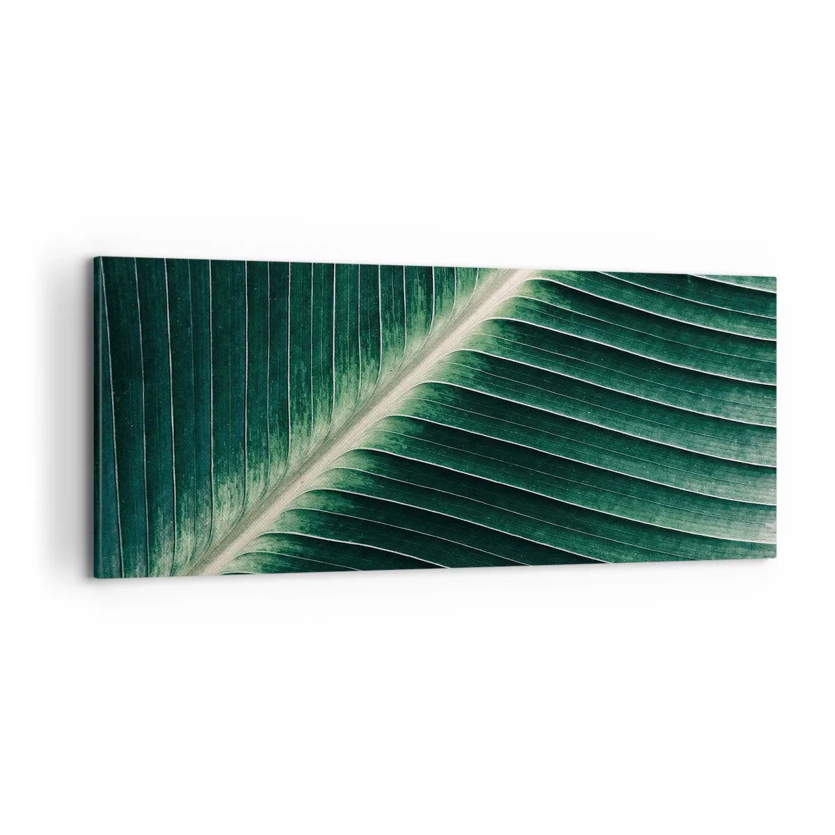 Schilderen op canvas - Het ritme van de natuur - 100x40 cm