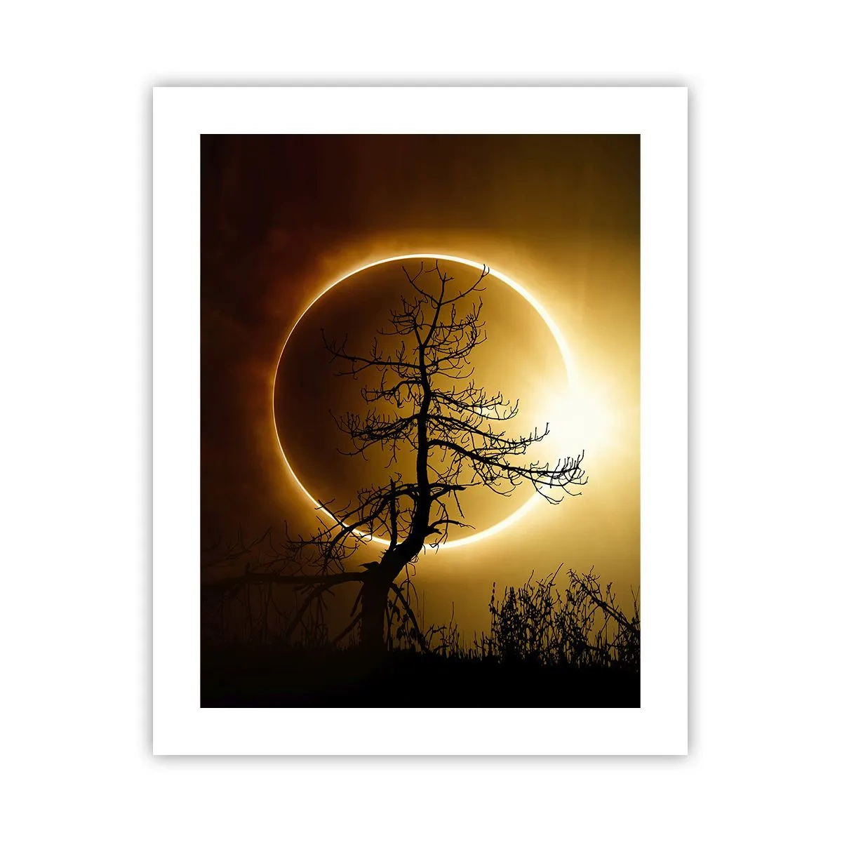Poster - Totale zonsverduistering - 40x50 cm