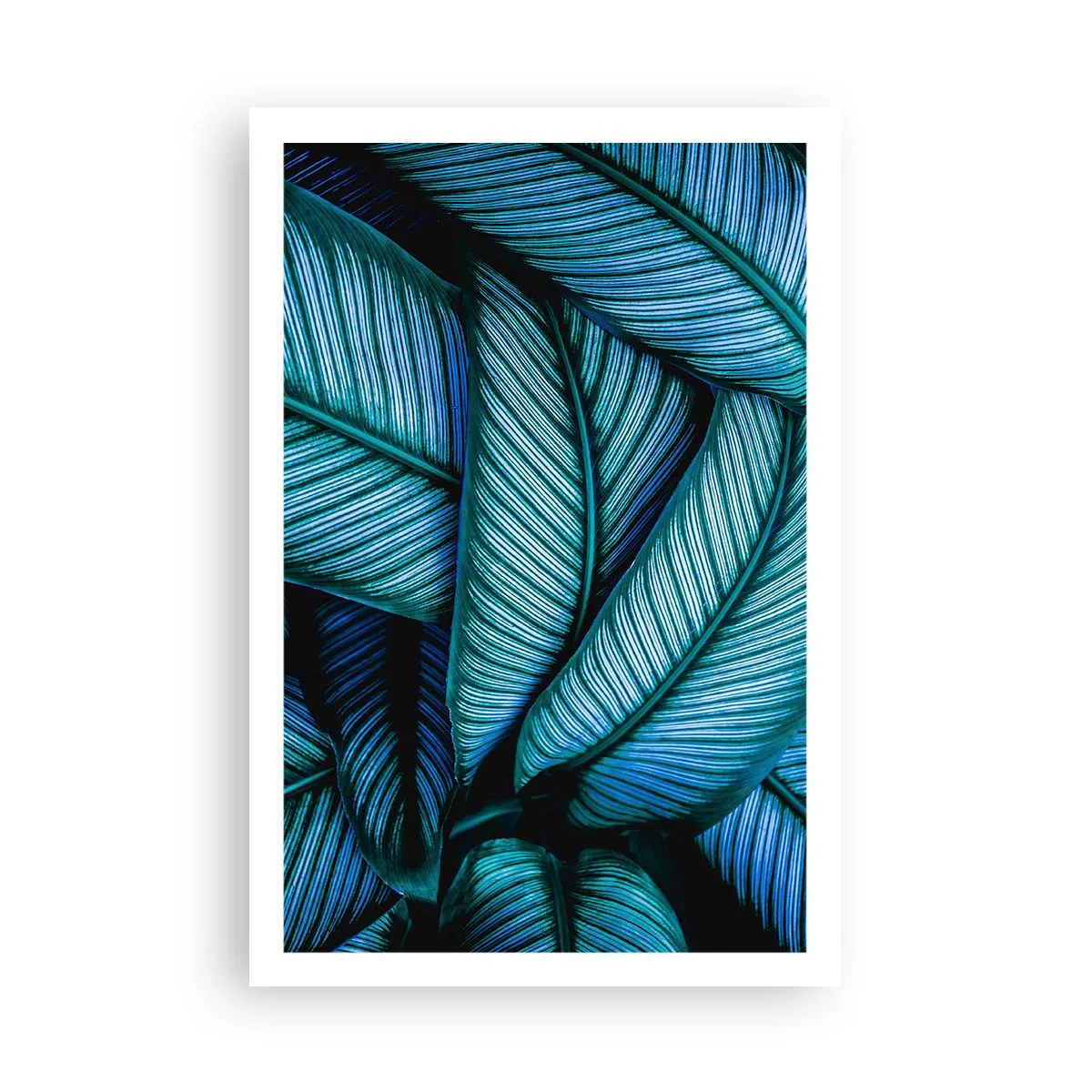 Poster - Levens lijnen - 61x91 cm