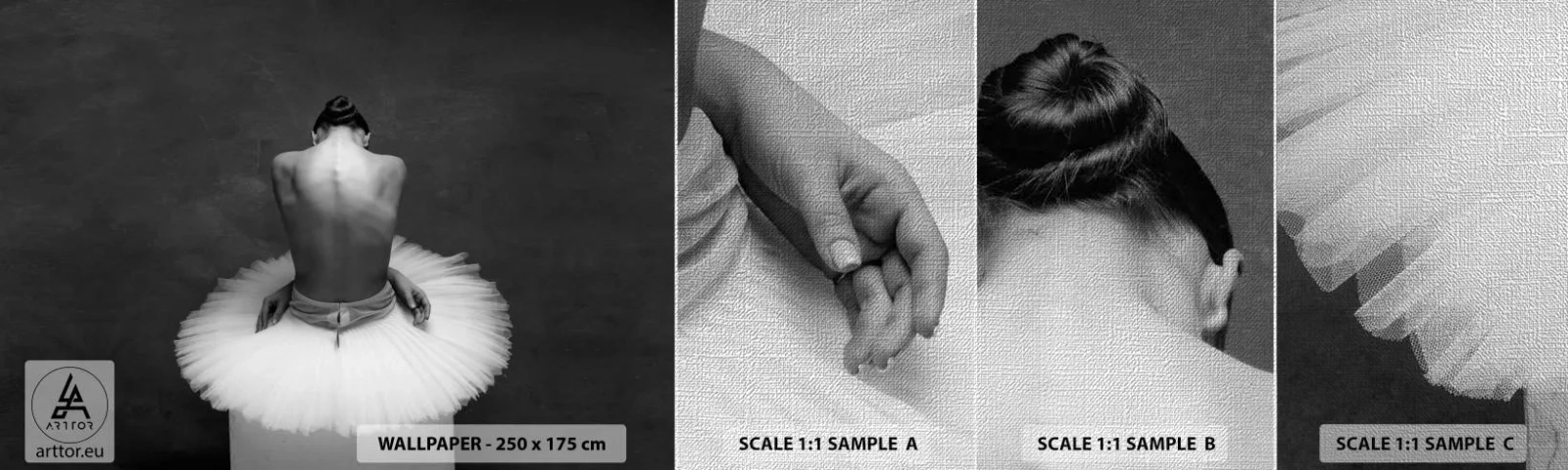 Fotobehang Monster Premium Canvas - Het bloeit gewoon - Ballerina, Dans, Ballet - 100x30 cm