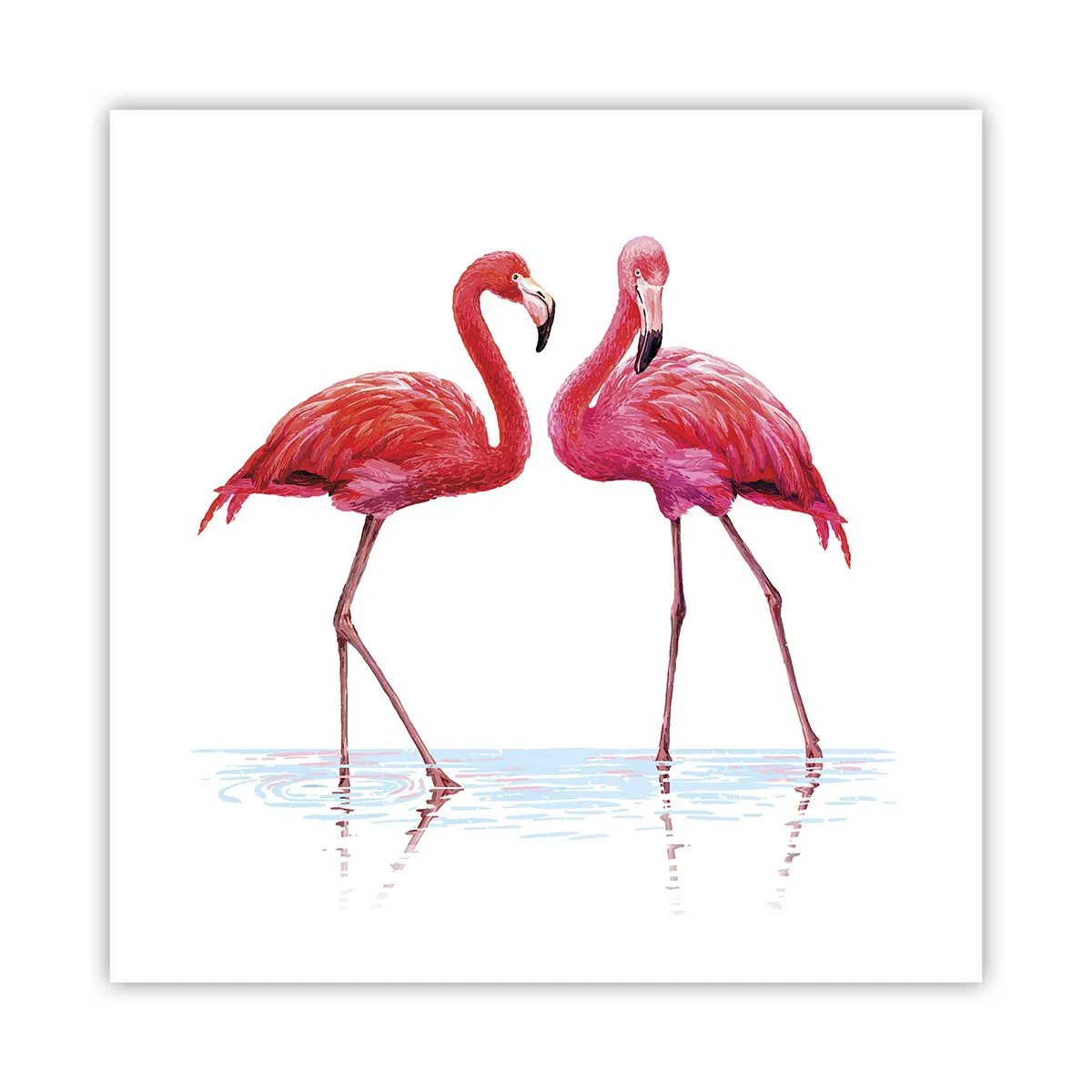 Poster - Roze randez-vous - 60x60 cm