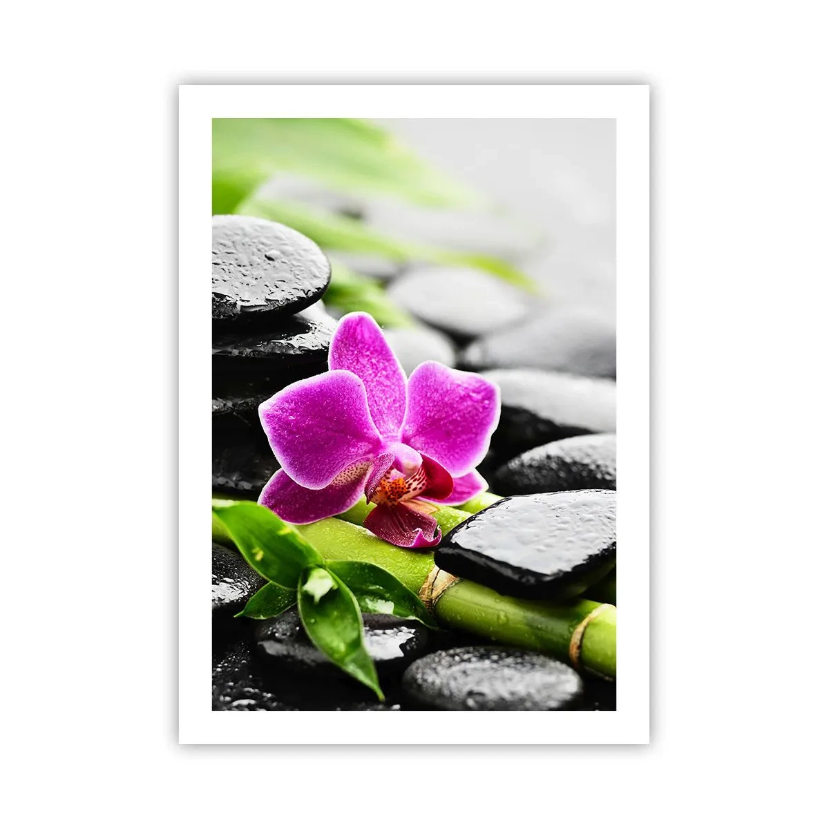 Poster - In een vrede evenwicht - 50x70 cm