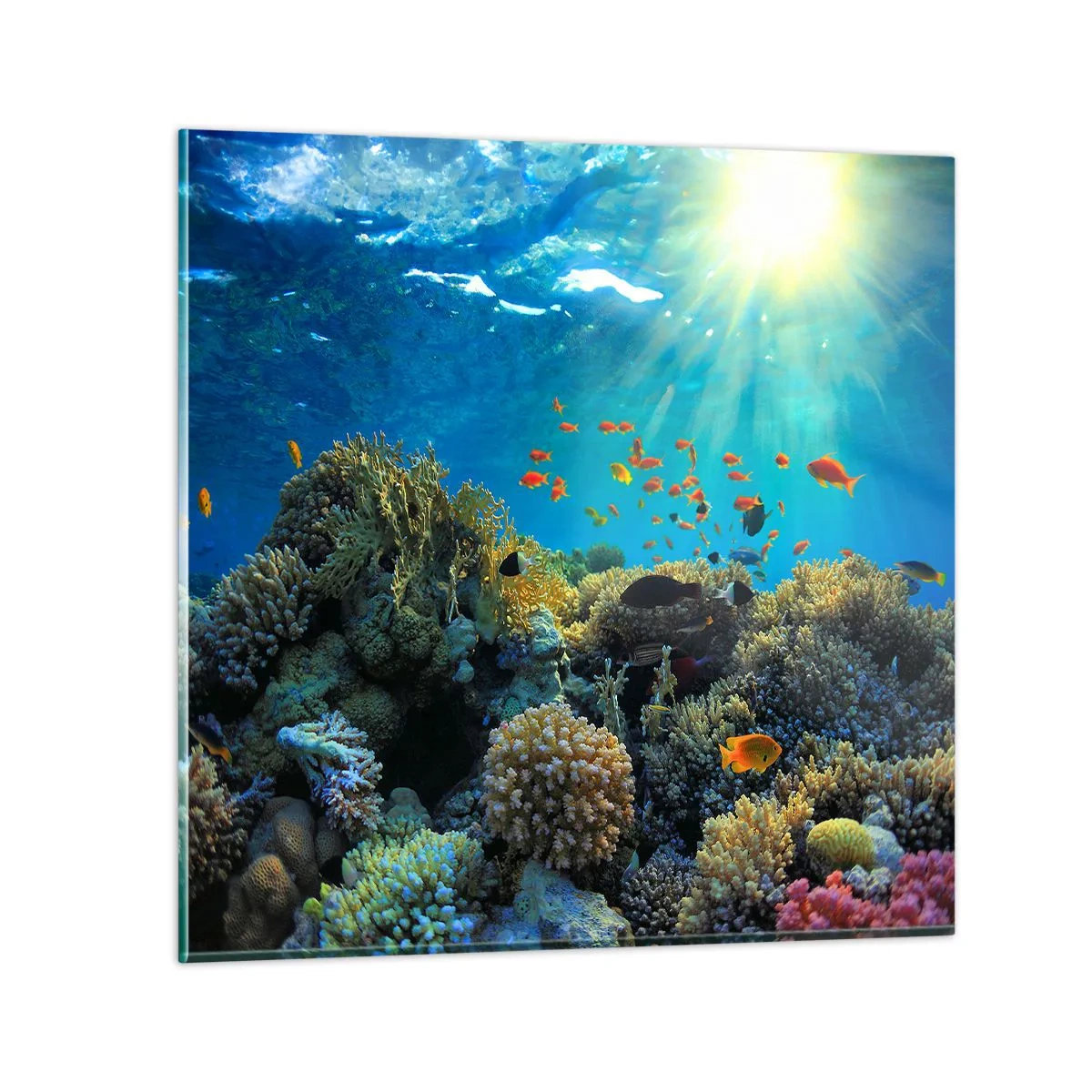 Schilderen op glas - Onderwater schatten - 70x70 cm