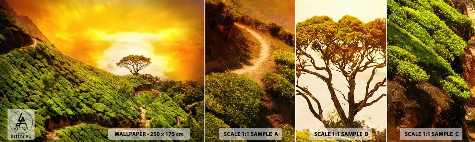 Fotobehang Staaltje Standard Eco - Een kronkelend pad, een groene helling - Landschap, Theeplantage, Indië - 100x30 cm