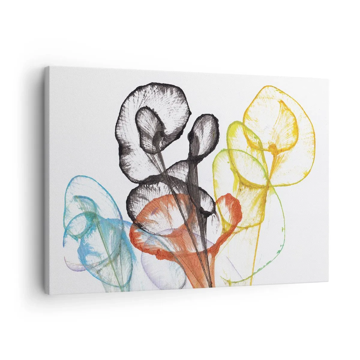 Schilderen op canvas - Kleurrijke transparante bloemen op een witte achtergrond - 70x50cm - Bloemen met een ziel - Moderne wanddecoratie voor woonkamer en slaapkamer ARTTOR