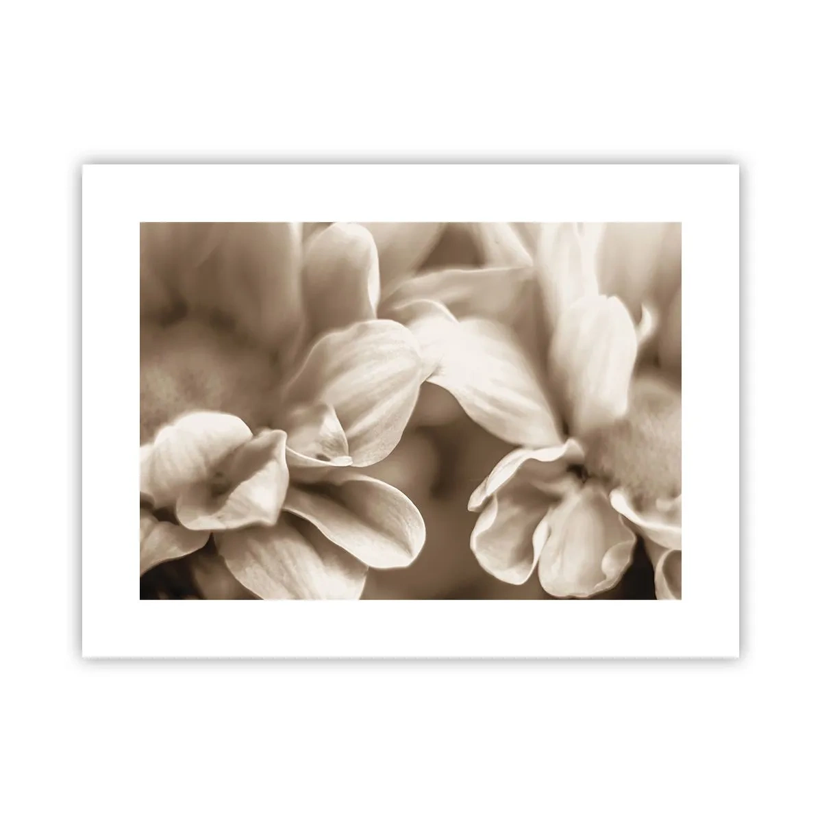 Poster - Zo zacht als een glimlach - 40x30 cm