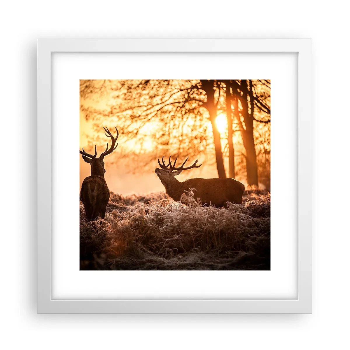 Poster in een witte lijst - De droom van een jager - 30x30 cm