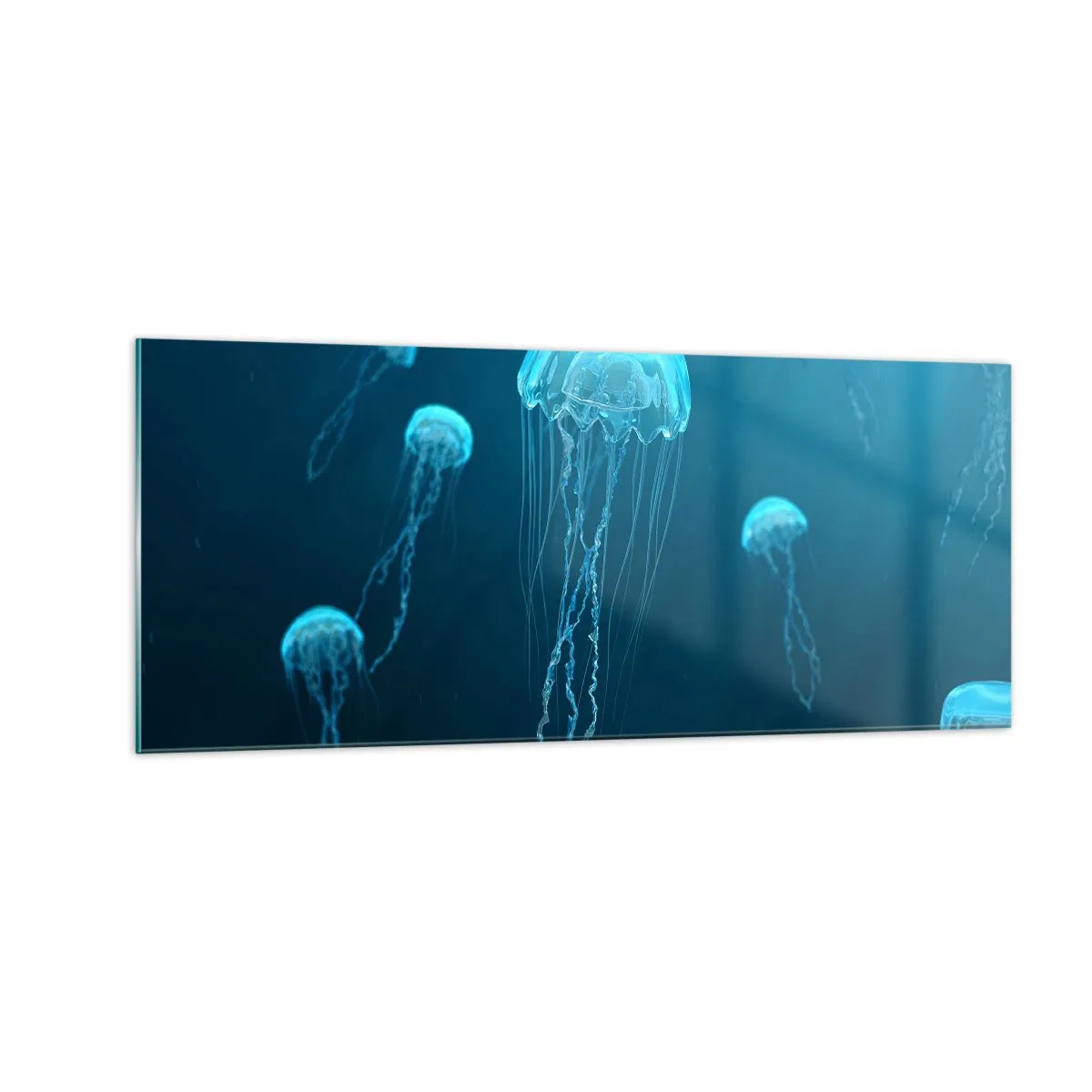 Schilderen op glas - Oceaandans - 100x40 cm