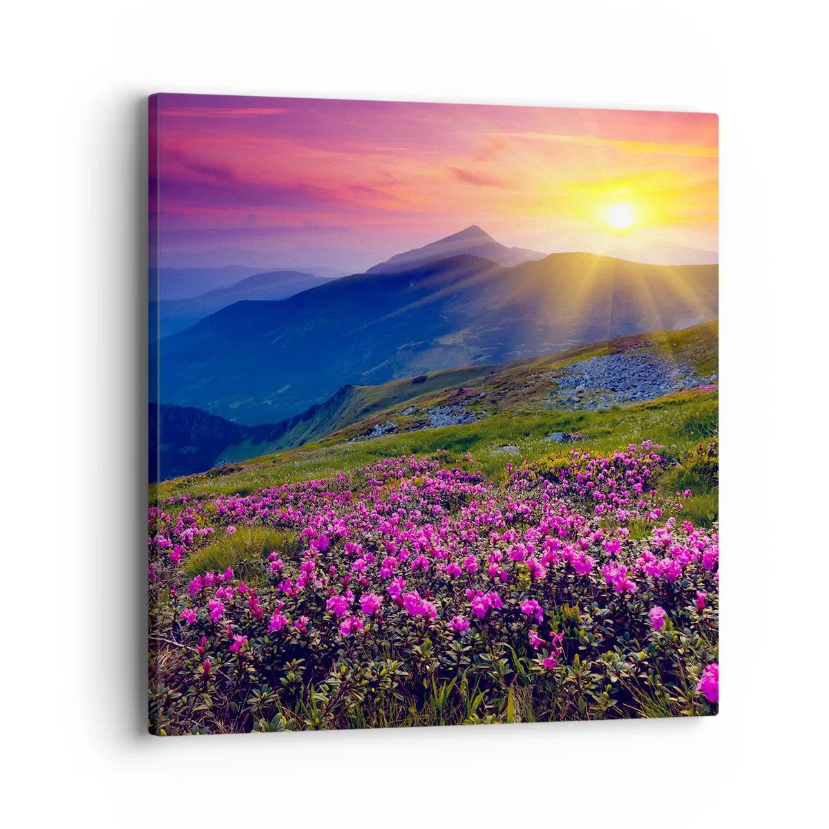 Schilderen op canvas - … En eromheen ruikt het naar bergdennen en de geur van kruiden - 40x40 cm