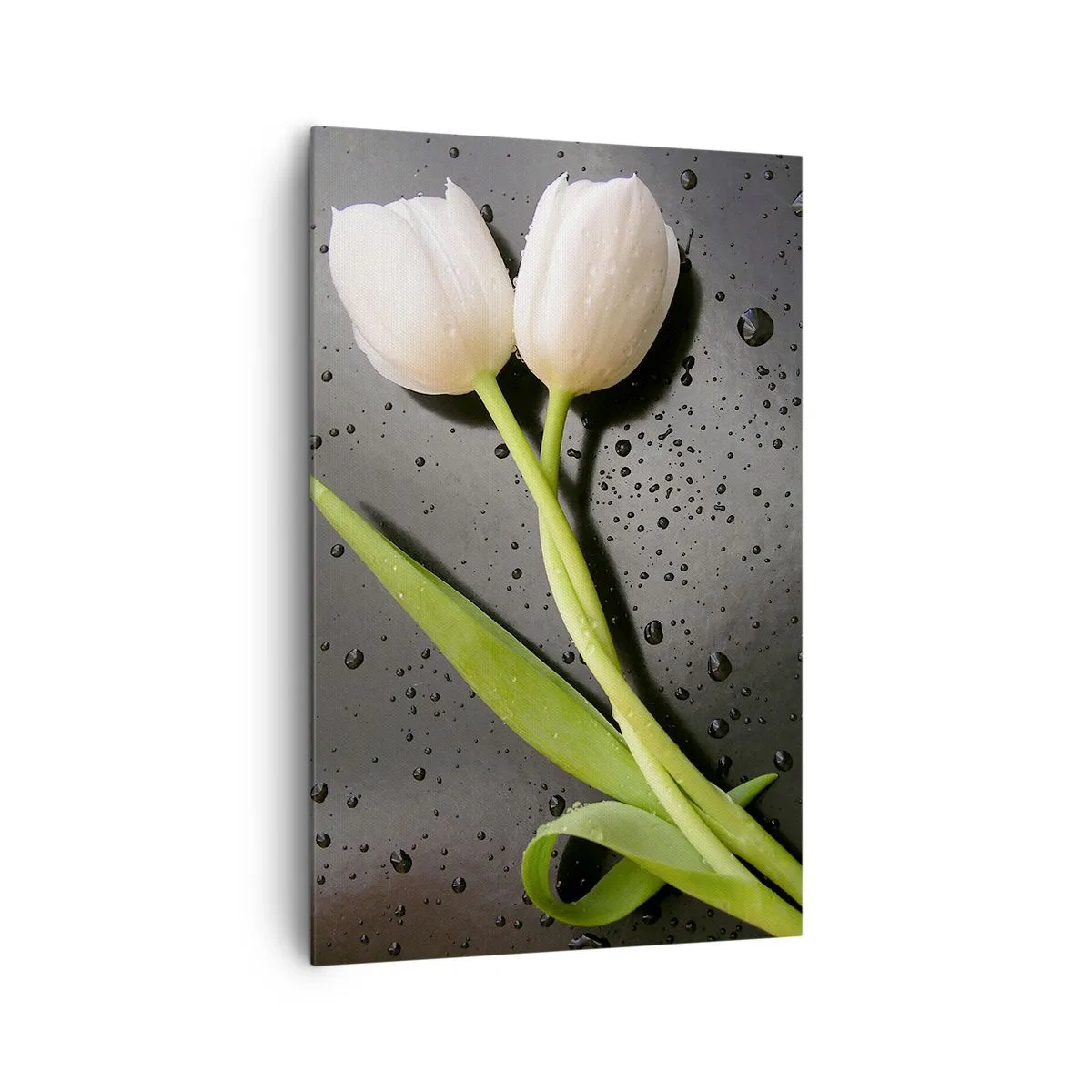 Schilderen op canvas - Lente weefsel - 80x120 cm