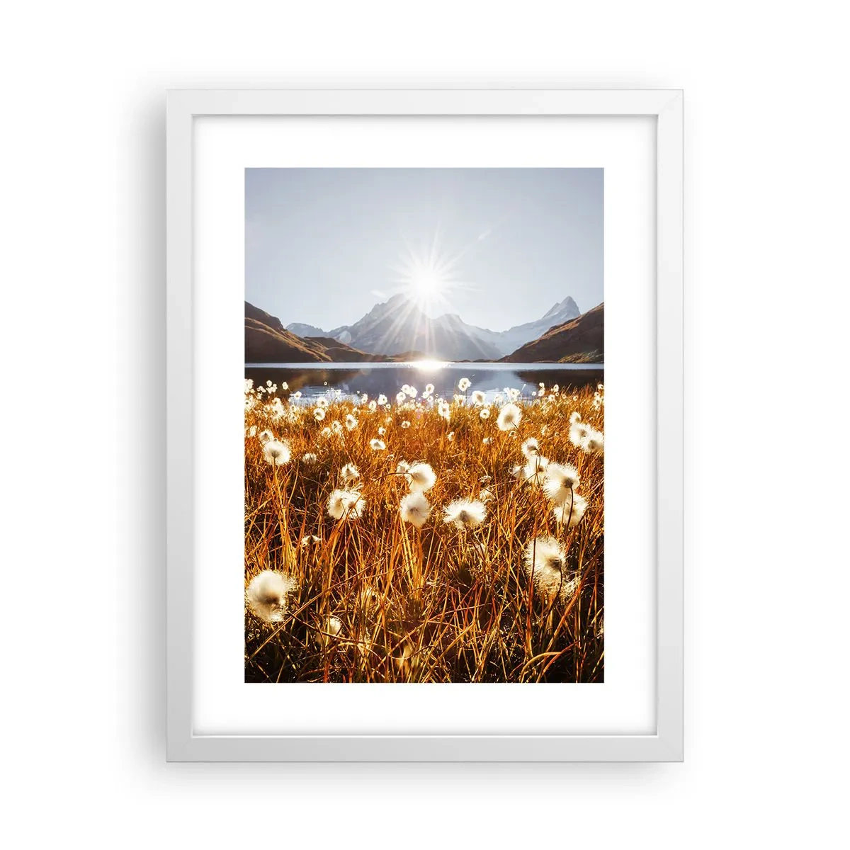 Poster in een witte lijst - Steenhardheid, graszachtheid - 30x40 cm