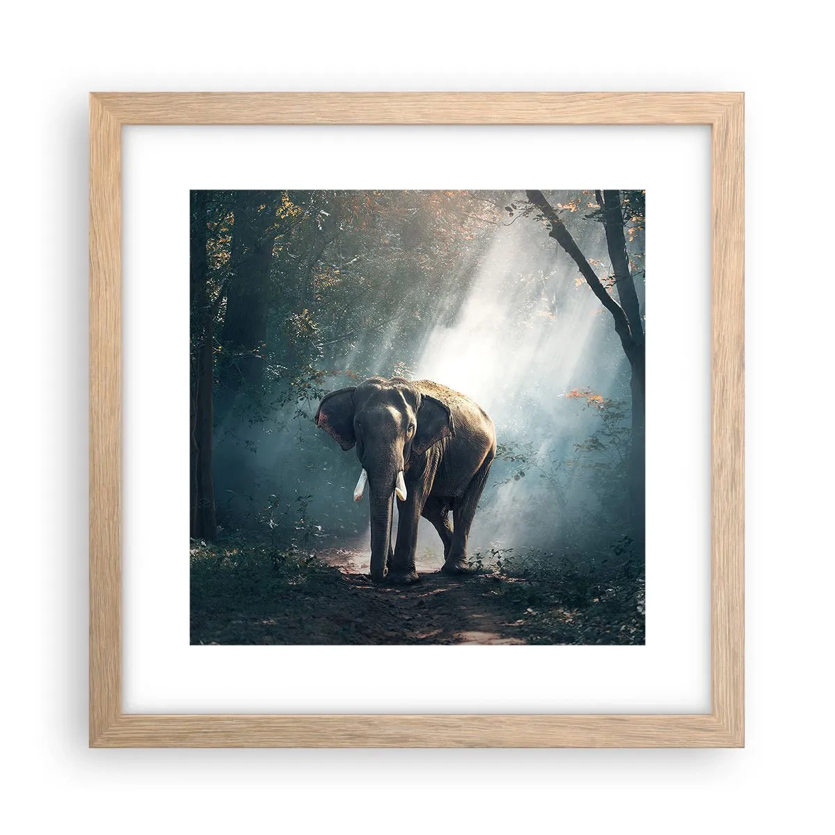 Een poster in een licht eiken lijst - Een ontspannen wandeling - 30x30 cm