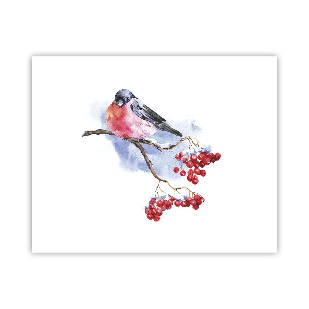 Poster - Winter in kleur - 50x40 cm
