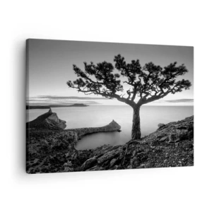 Schilderen op canvas - Zwart-wit landschap met een eenzame boom op een klif boven de zee - 70x50cm - Stilte aan de horizon - Moderne wanddecoratie voor woonkamer en slaapkamer ARTTOR