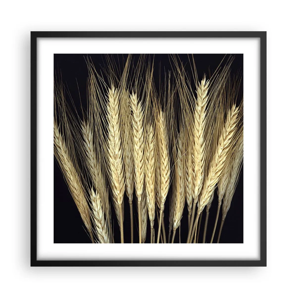 Poster in een zwarte lijst - Rustieke magie - 50x50 cm