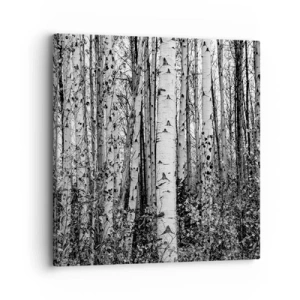 Schilderen op canvas - Berken colonnade - 30x30 cm