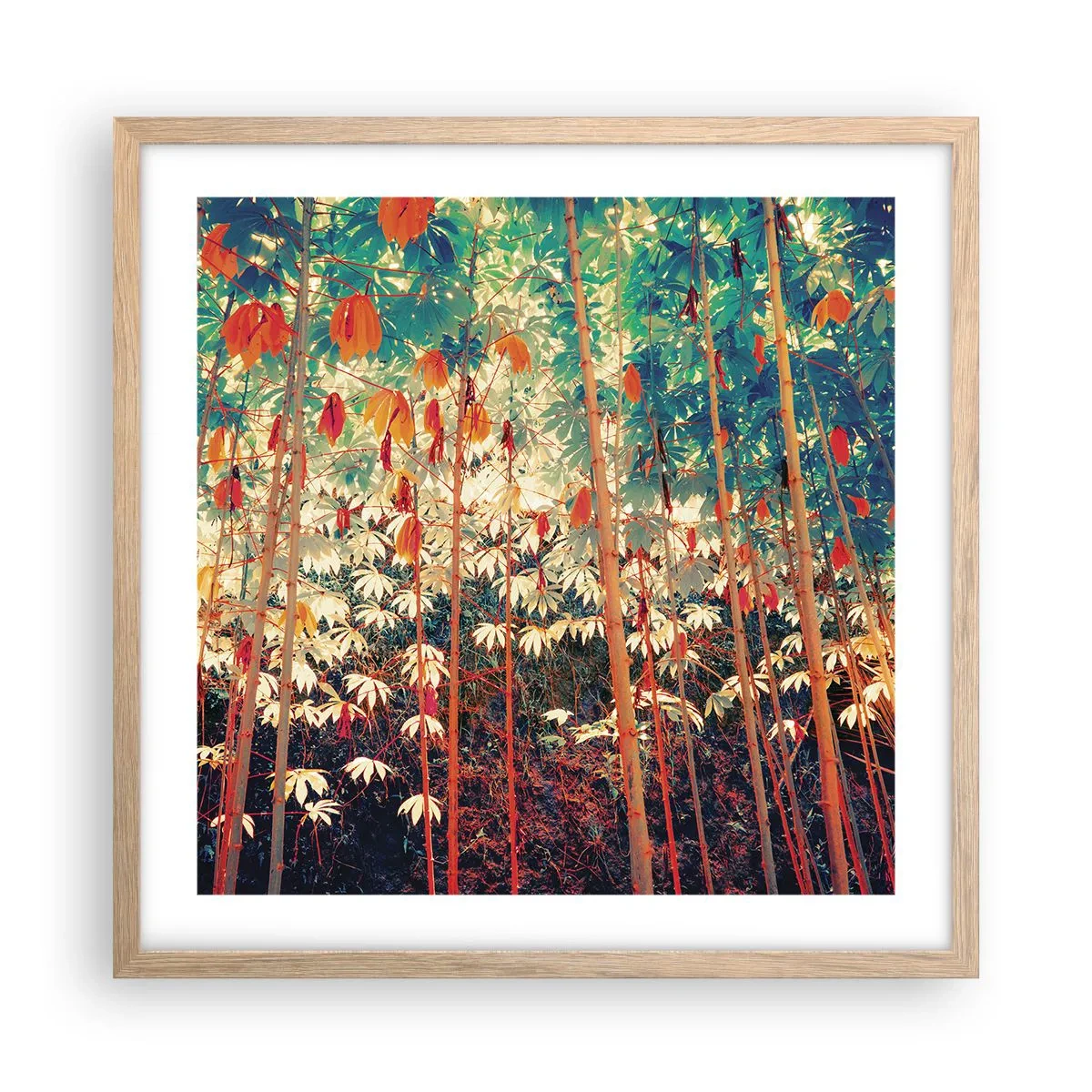 Een poster in een licht eiken lijst - Het geheime leven van de bladeren - 50x50 cm