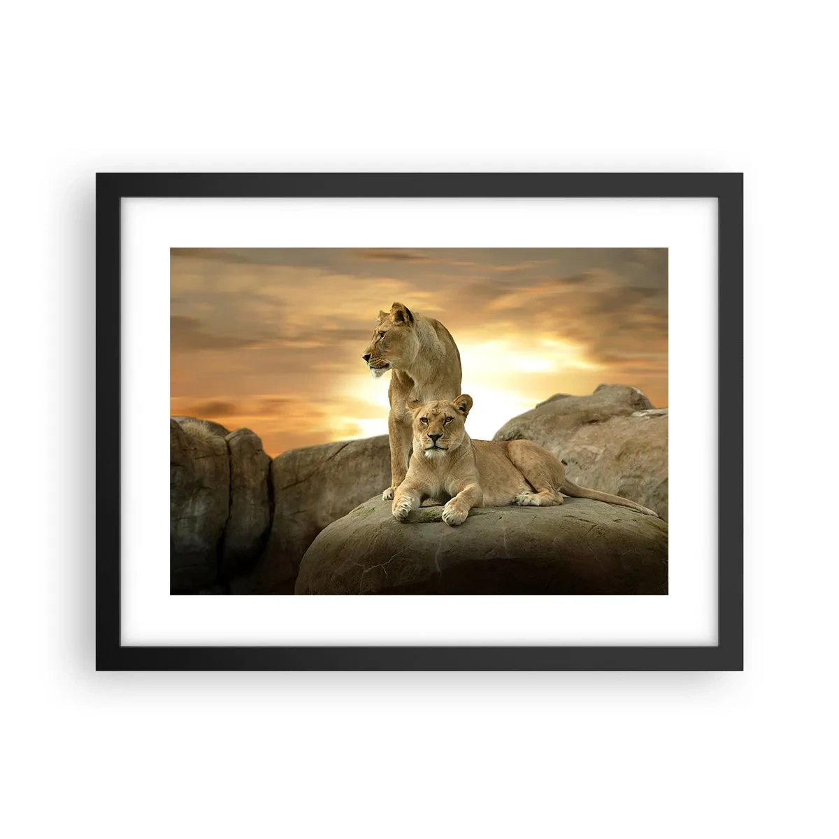 Poster in een zwarte lijst - Koninklijke majesteit - 40x30 cm