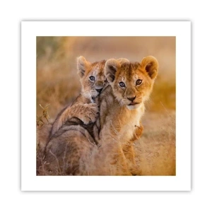 Poster - Niet storen! We hebben plezier - 40x40 cm