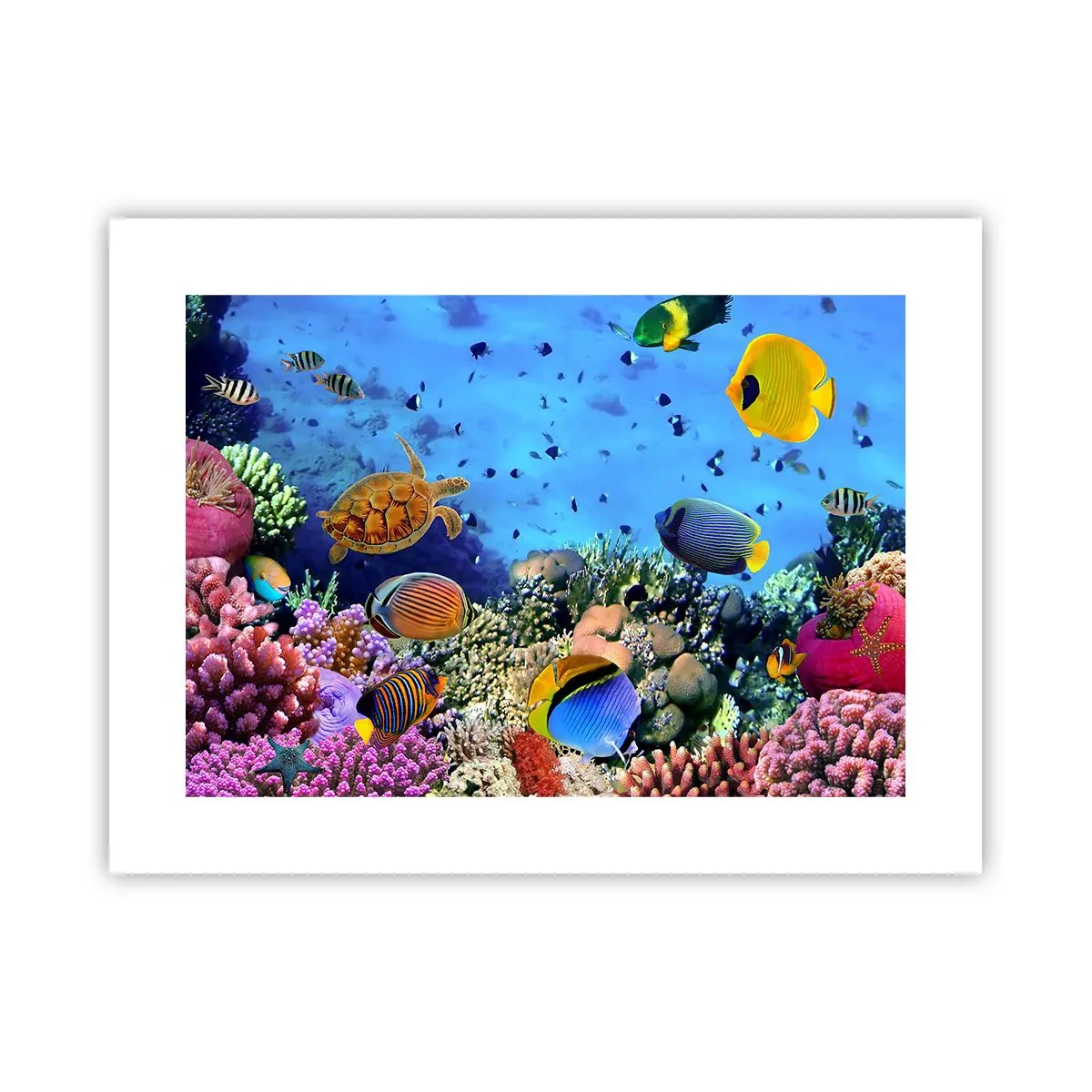 Poster - En wat weten we over het leven... - 40x30 cm