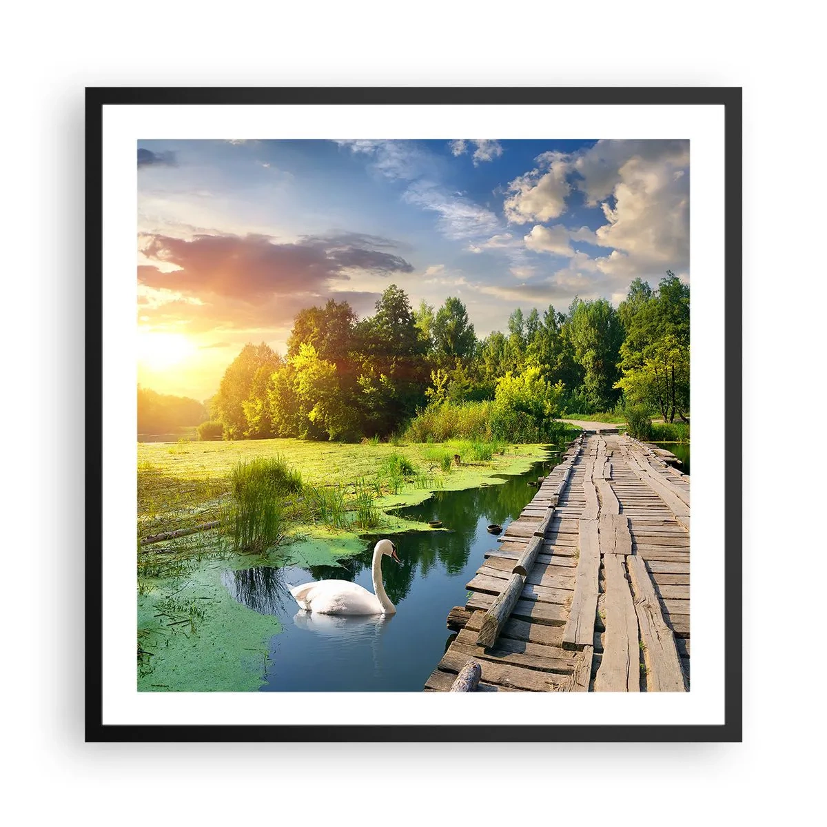 Poster in een zwarte lijst - Zomer, zomer overal - 60x60 cm