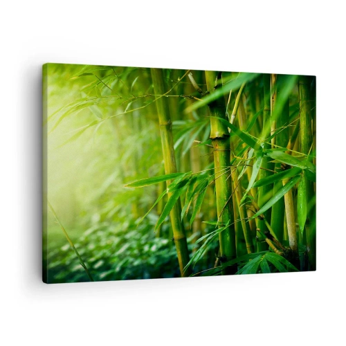 Schilderen op canvas - Groen bamboebos in zacht licht - 70x50cm - Maak kennis met groen zelf - Moderne wanddecoratie voor woonkamer en slaapkamer ARTTOR