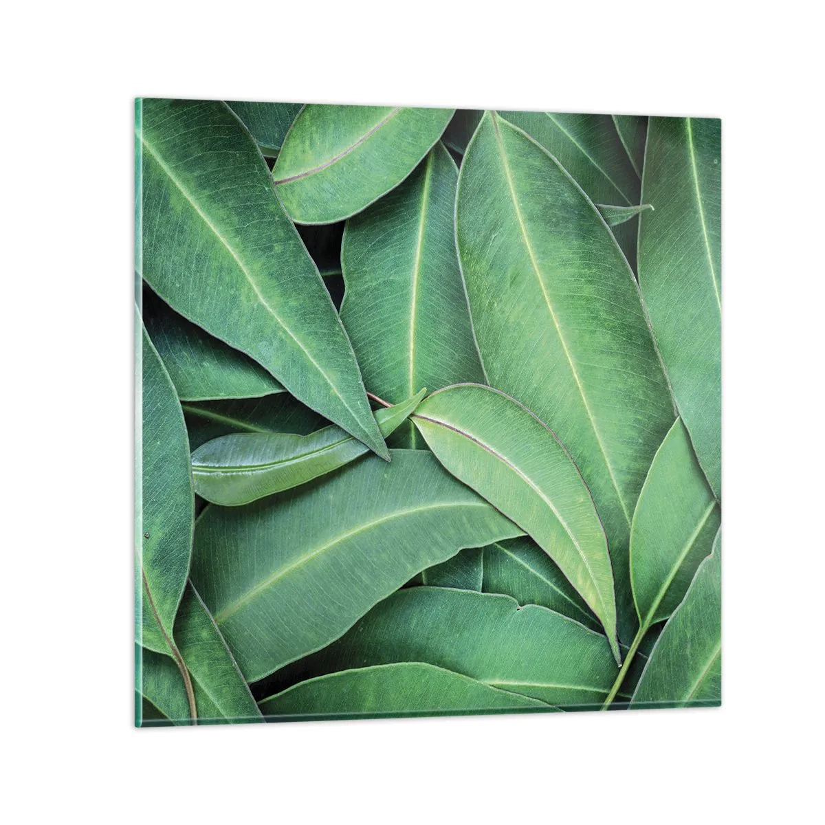 Schilderen op glas - Sappig en fris - 70x70 cm