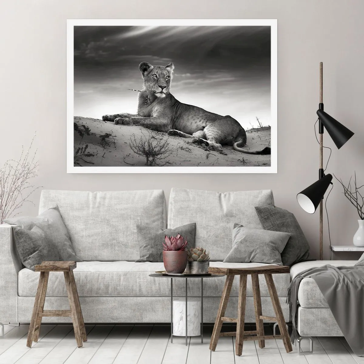 Poster - De koningin van de woestijn rust - 100x70 cm