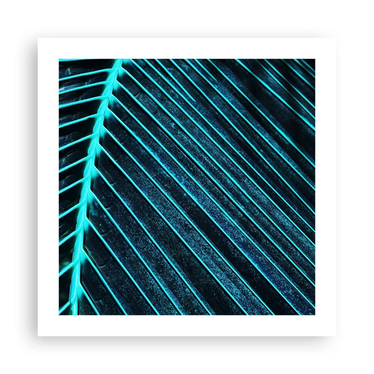 Poster - Groene textuur - 50x50 cm