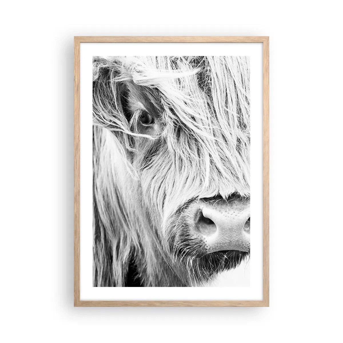 Een poster in een licht eiken lijst - Schotse wildheid - 50x70 cm