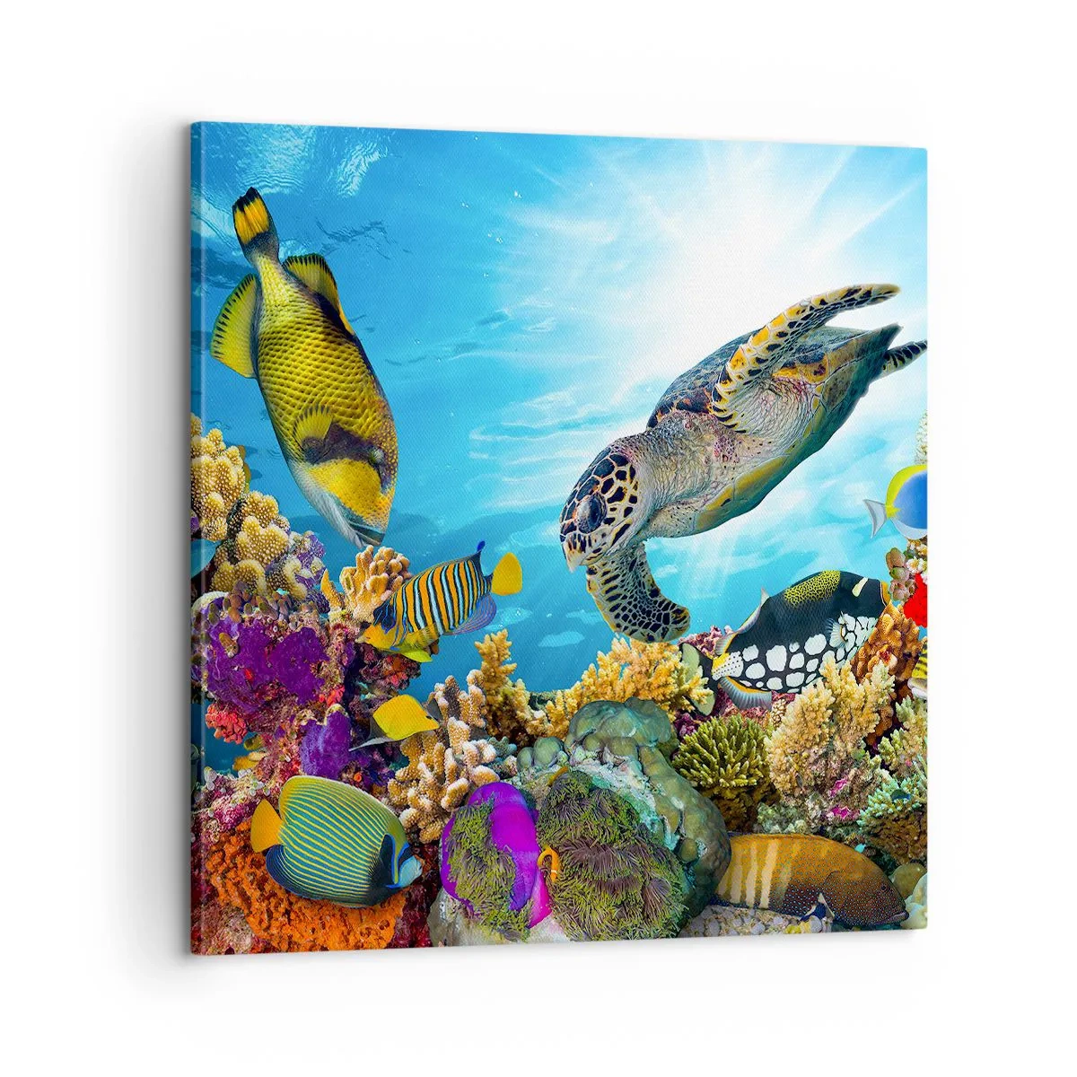 Schilderen op canvas - Koraalpromenade - 60x60 cm