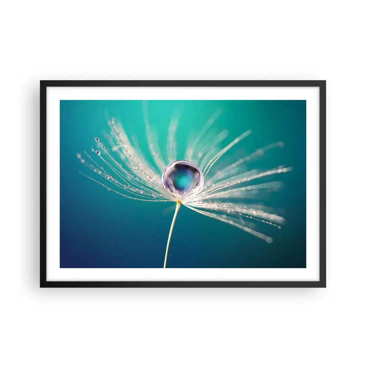 Poster in een zwarte lijst - Mystiek moment - 70x50 cm