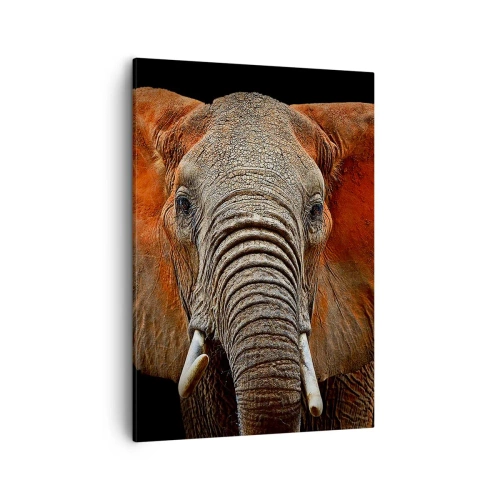 Schilderen op canvas - Ik ben wild, en jij? - 50x70 cm