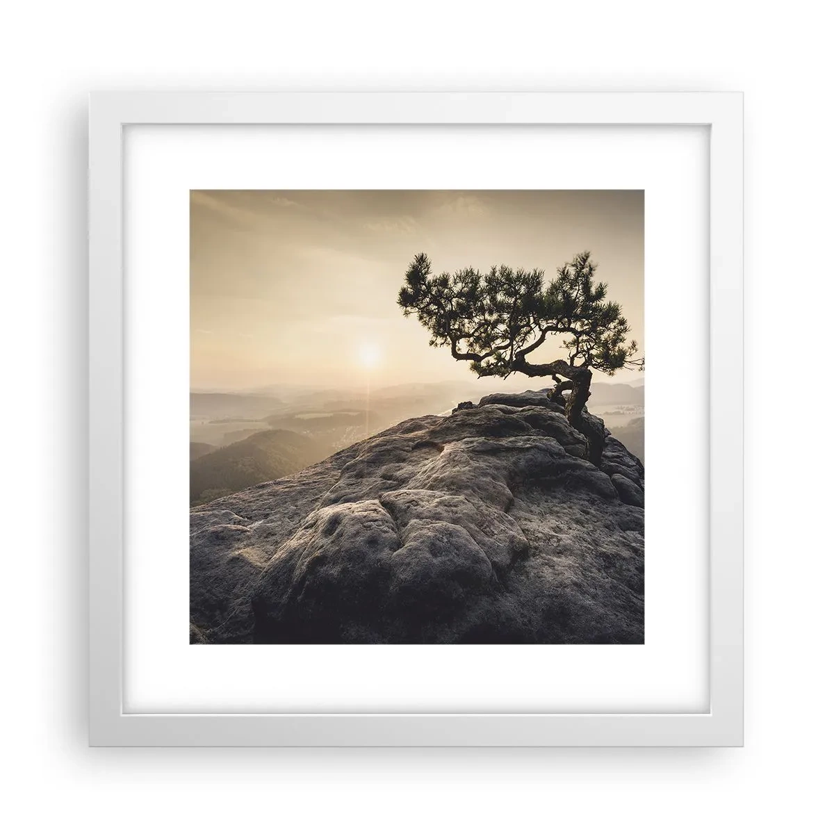 Poster in een witte lijst - Het leven wint altijd - 30x30 cm