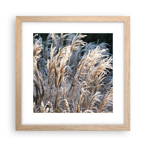 Een poster in een licht eiken lijst - Gekleed met vorst - 30x30 cm