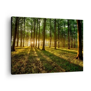 Schilderen op canvas - De ondergaande zon in het loofbos - 70x50cm - Foto van de hele lente - Moderne wanddecoratie voor woonkamer en slaapkamer ARTTOR