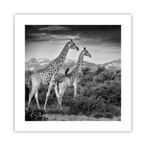 Poster - Hoge sferen in Afrika - 40x40 cm