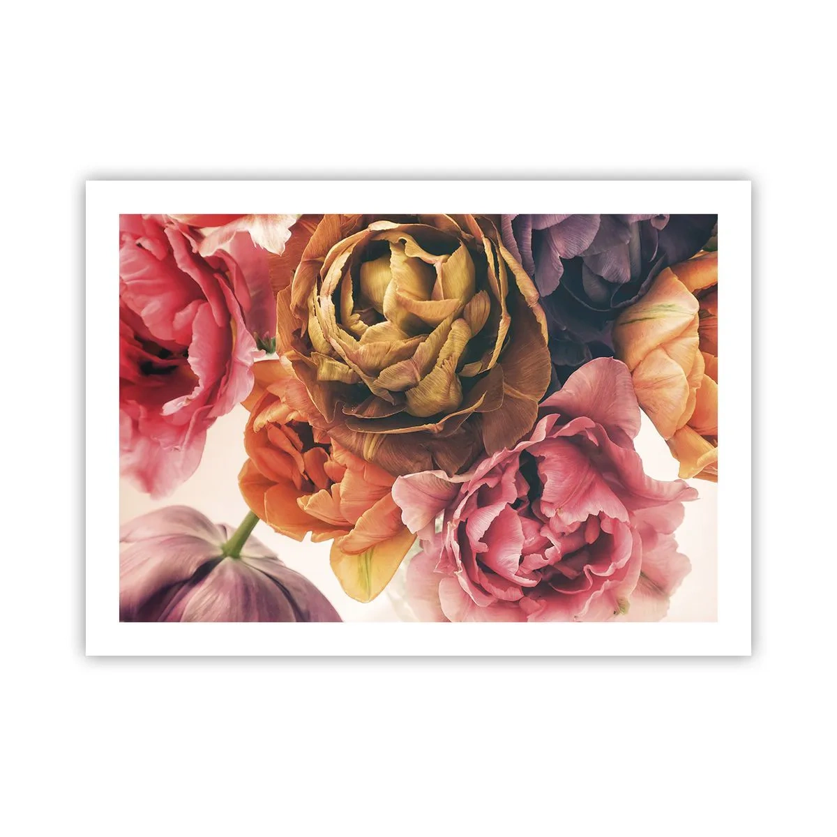 Poster - Een viering van het leven - 70x50 cm