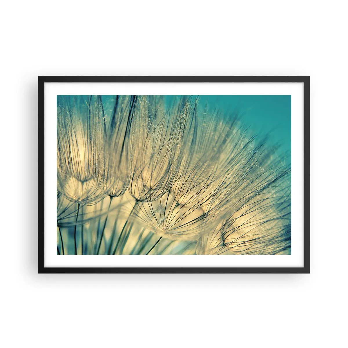 Poster in een zwarte lijst - In afwachting van de wind - 70x50 cm