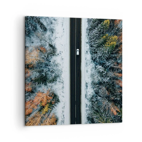 Schilderen op canvas - Snijd door het winterbos - 50x50 cm