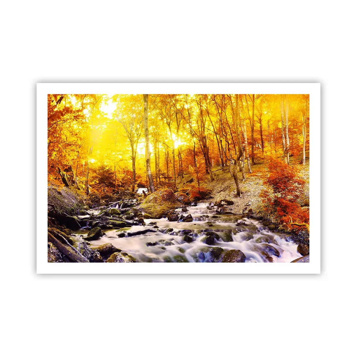 Poster - Stenen gezet in goud en platina - 91x61 cm