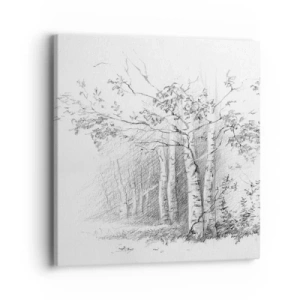 Schilderen op canvas - Het licht van het berkenbos - 40x40 cm