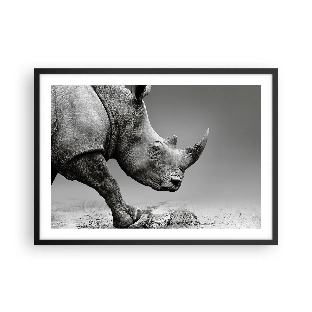 Poster in een zwarte lijst - Onstuitbare kracht - 70x50 cm