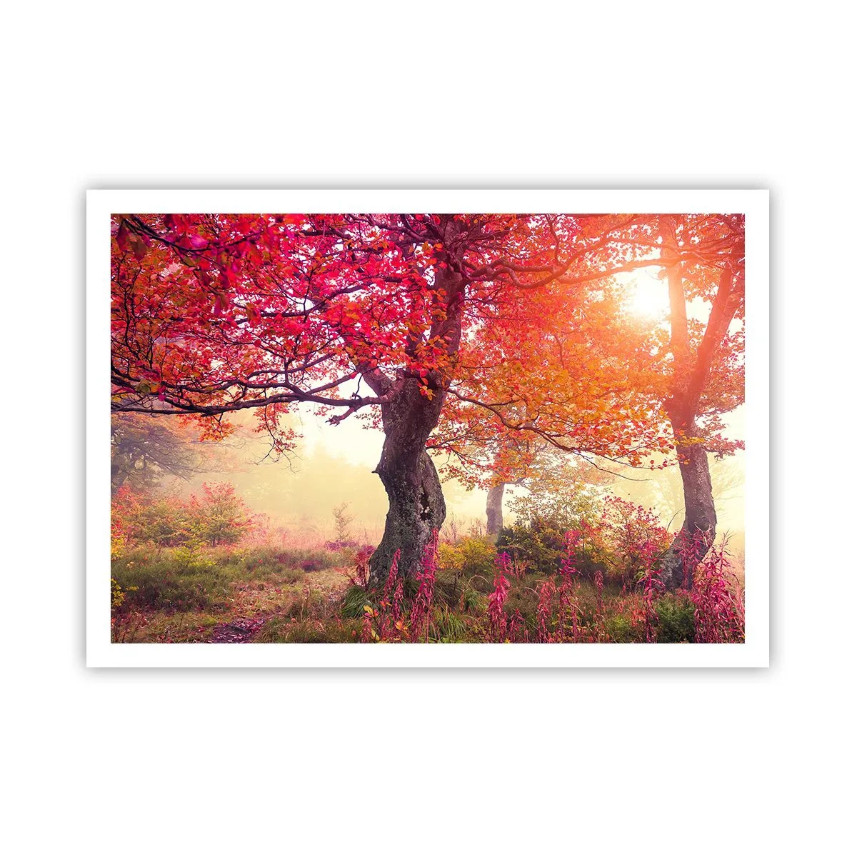 Poster - Bloeiende razernij - 100x70 cm