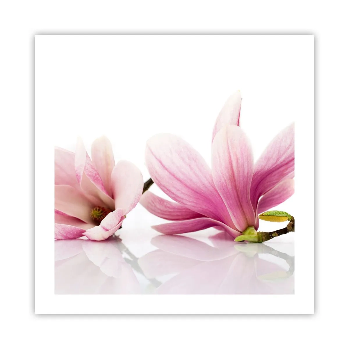 Poster - Delicaat als een lentebriesje - 50x50 cm