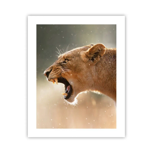 Poster - Probeer niet te luisteren - 40x50 cm